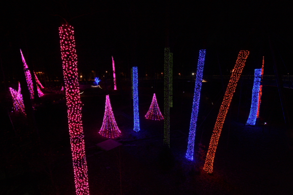 Atlanta Botanical Garden Lights Holiday Nights – Tom Sullivan
